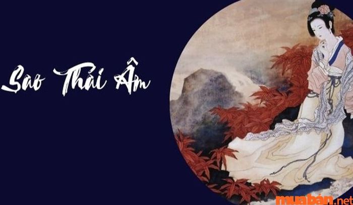 Sao Thái Âm chiếu mệnh mang đến sự linh hoạt trong việc đối phó với những thay đổi của khí hậu, nhưng cũng khiến họ dễ bị ảnh hưởng bởi thời tiết ẩm ướt.