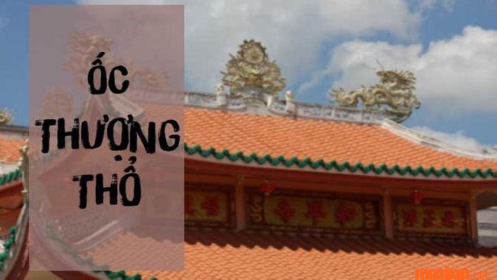 Nạp âm của năm 2006 là gì? Đó là Ốc Thượng Thổ.