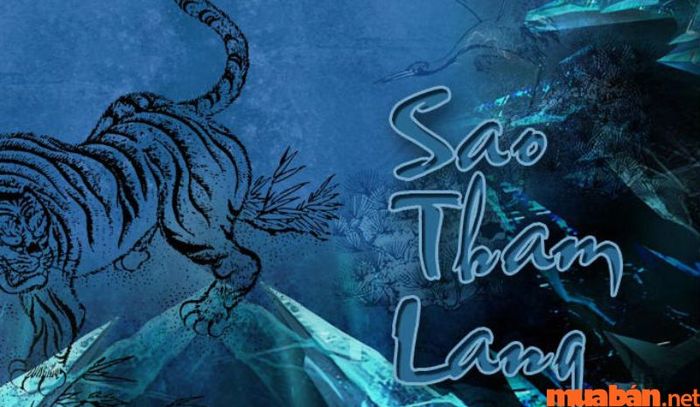 Sao Tham Lang trong cung Tật Ách có thể liên quan đến các vấn đề về sức khỏe như sỏi thận. Để phòng tránh, cần kiểm soát chế độ ăn uống và duy trì lượng nước cần thiết.