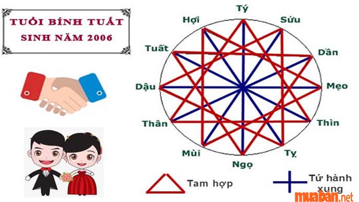 Bính Tuất 2006 mệnh gì? Những tuổi nào phù hợp để kết hôn với người tuổi này?
