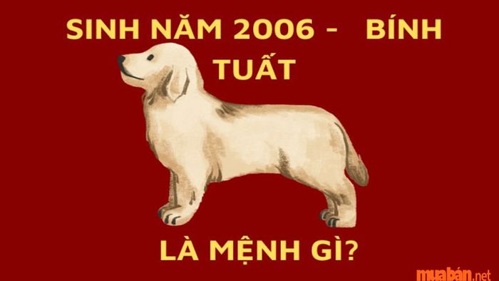 Năm 2006 thuộc mệnh gì theo tử vi phong thủy?