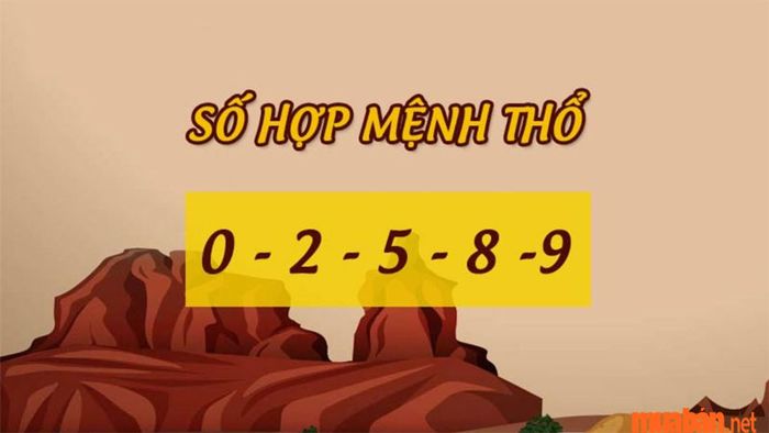2006 mệnh gì và con số nào sẽ đem lại may mắn cho bạn?