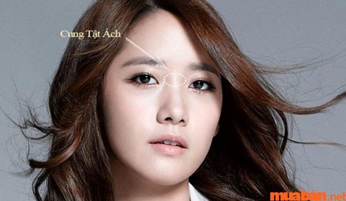 Tổng quan về ý nghĩa của cung Tật Ách