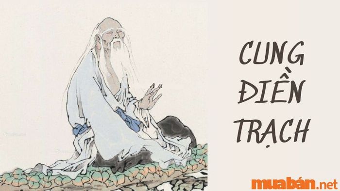 Cung Điền Trạch