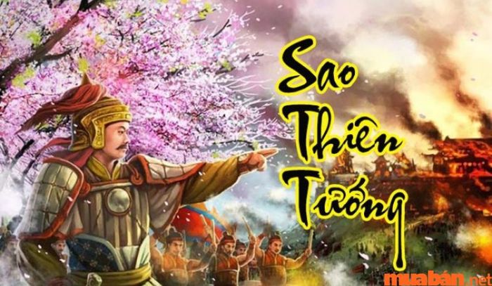 Sao Thiên Tướng có mặt trong cung Tật Ách thường phản ánh các yếu tố liên quan đến sức khỏe và các biến chứng có thể xảy ra sau những tai nạn hay chấn thương. Chủ mệnh cần lưu ý và cẩn trọng trong sinh hoạt hàng ngày.