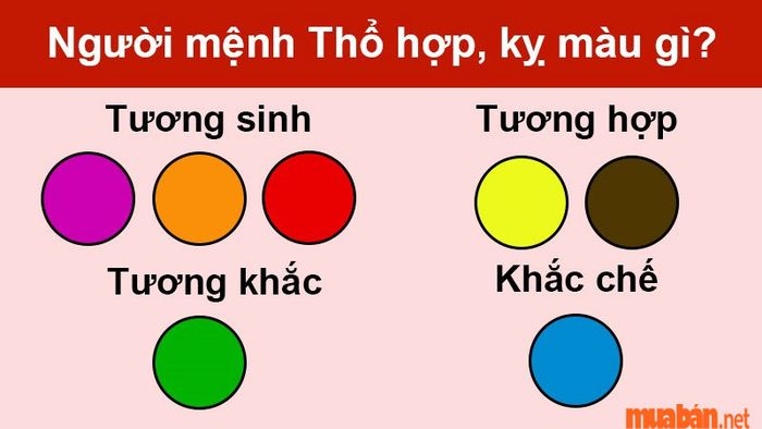 2006 mệnh gì? Màu sắc tương sinh và hợp với bản mệnh có thể mang lại sự may mắn và thuận lợi cho cuộc sống.