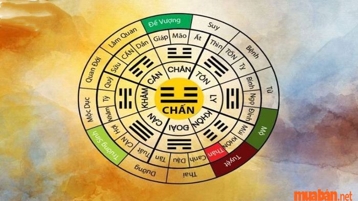Bính Tuất 2006 thuộc mệnh gì và có cung mệnh nào?
