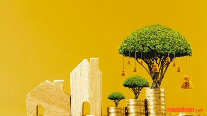 Ý nghĩa sao Thiên Mã tại cung Tài Bạch