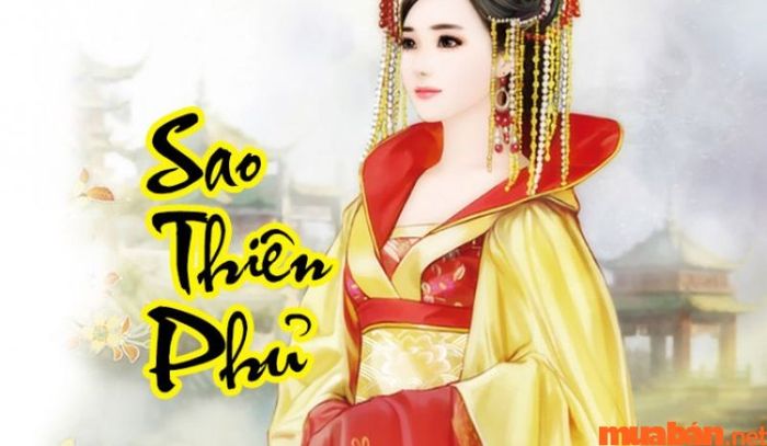 Sao Thiên Phủ khi chiếu mệnh mang lại tín hiệu tích cực về sức khỏe của chủ mệnh.