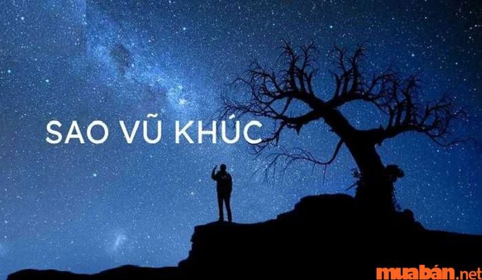 Sao Vũ Khúc mang lại những điềm báo liên quan đến sức khỏe, đặc biệt là những vấn đề về tiêu hóa nếu nó xuất hiện tại cung Tật Ách.
