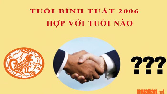 Bính Tuất 2006 mệnh gì? Lựa chọn đối tác phù hợp trong kinh doanh