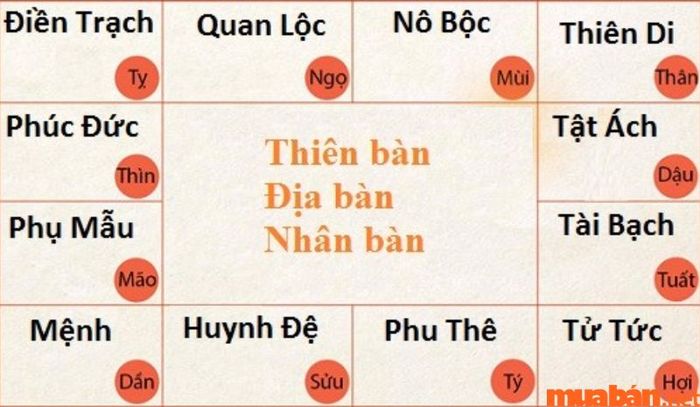 Sao Tử Vi ở cung Tật Ách mang đến điềm lành cho chủ mệnh