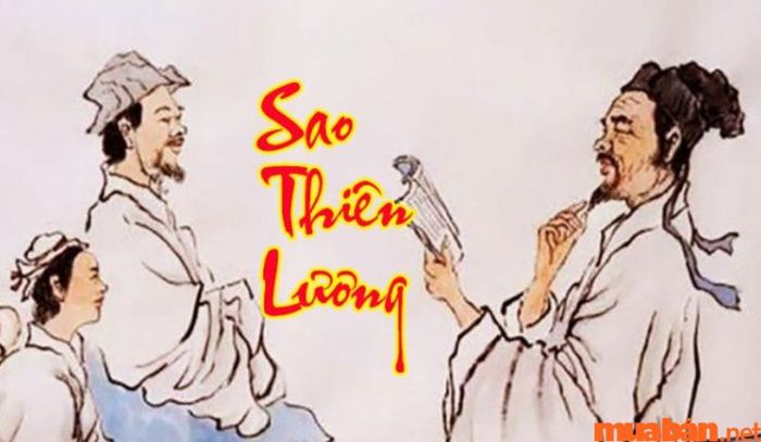Khi sao Thiên Lương xuất hiện tại cung Tật Ách, chủ mệnh sẽ có khả năng tự phục hồi nhanh chóng và thích nghi với bệnh tật, giúp giảm thiểu các vấn đề sức khỏe trong thời gian ngắn.