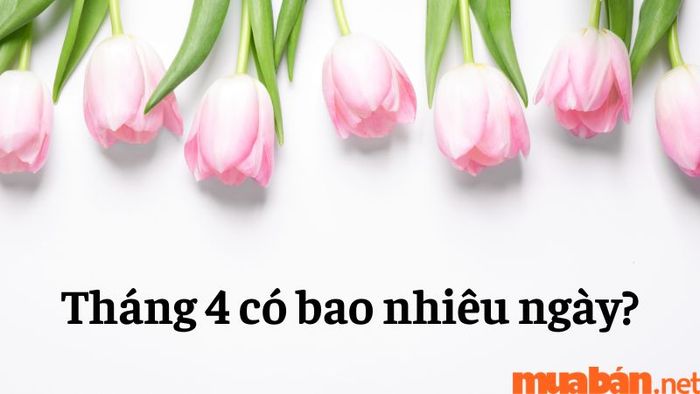 Tháng 4 có bao nhiêu ngày? Cùng tìm hiểu