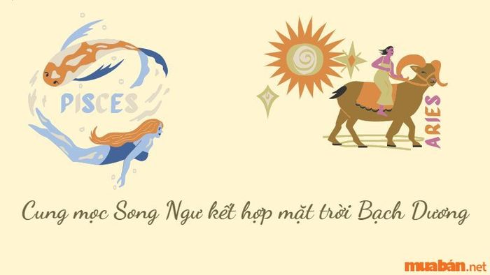 Cung mọc Song Ngư kết hợp với mặt trời Bạch Dương