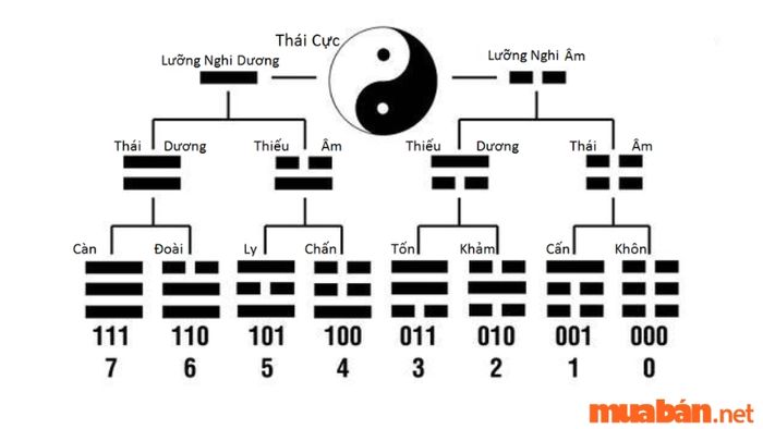 Quá trình hình thành bát quái đồ