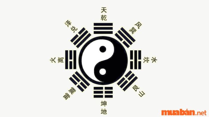 Quẻ trong bát quái đồ được ứng dụng trong y học