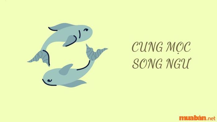 Cung Mọc Song Ngư Và Những Điều Thú Vị Bạn Chưa Hề Hay Biết