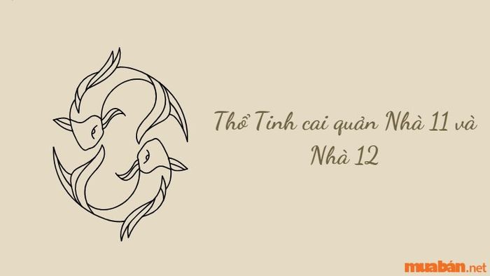 Thổ Tinh cai quản Nhà 11 và Nhà 12