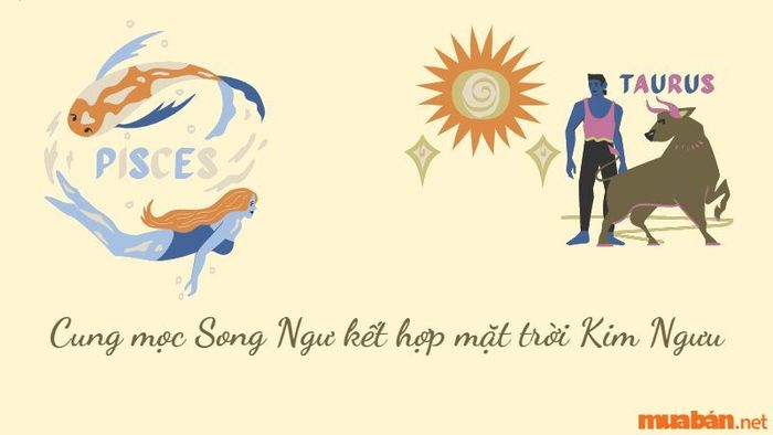 Cung mọc Song Ngư kết hợp với mặt trời Kim Ngưu