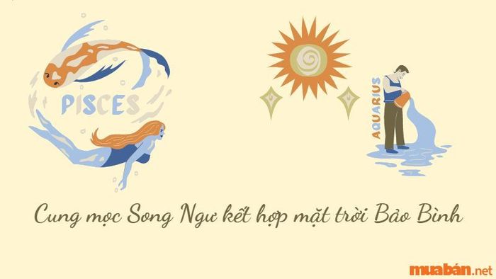 Với sự kết hợp giữa Song Ngư và Bảo Bình, bạn sở hữu một cá tính rất thú vị. Bảo Bình mang đến sự độc lập và trí tuệ, trong khi Song Ngư lại giúp bạn trở nên nhẹ nhàng, dễ gần và dễ dàng chia sẻ cảm xúc.