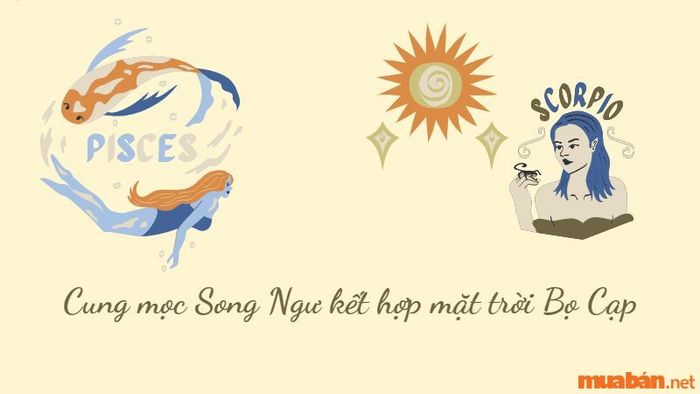 Cung mọc Song Ngư khi kết hợp với mặt trời Bọ Cạp tạo nên một cá nhân đầy cuốn hút, với sự kết hợp hoàn hảo giữa sự nhạy cảm và tính cách bí ẩn. Bạn luôn biết cách chiếm lĩnh cảm tình của người khác nhờ vào sự tinh tế và khả năng quan sát sắc bén.