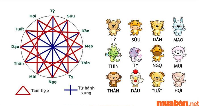 Bảng các cặp tam hợp và tứ hành xung