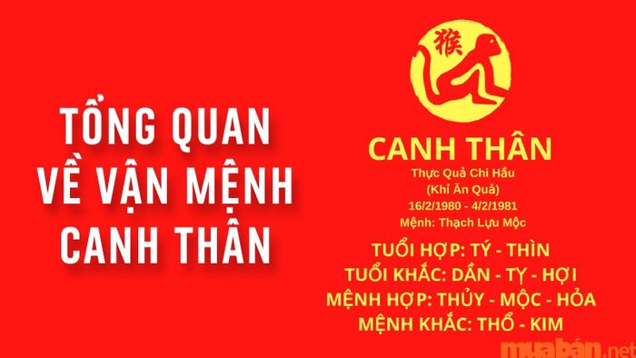 Tổng quan về vận mệnh của người tuổi Canh Thân sinh năm 1980
