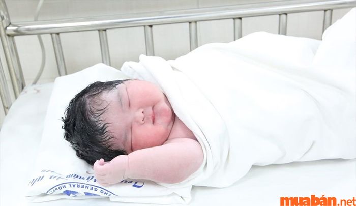 Người sinh vào ngày hắc đạo thường bị cho là dễ gặp thất bại và gặp nhiều khó khăn trong cuộc sống.