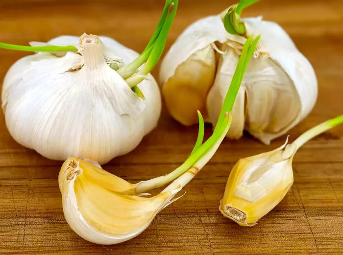 Close-up view of sprouted garlic cloves on a wooden cutting board.