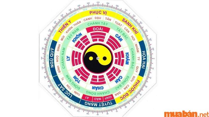 Tử vi Quý Mùi 2003 nam mạng năm 2024 xét theo địa chi
