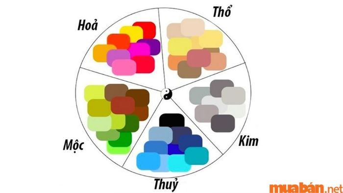 Theo tử vi Quý Mùi 2003 nam mạng năm 2024, màu xanh lá cây là màu phù hợp nhất với bạn.