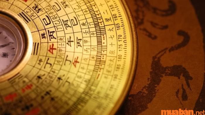 Tử vi Quý Mùi 2003 nam mạng năm 2024 xét theo cung phi