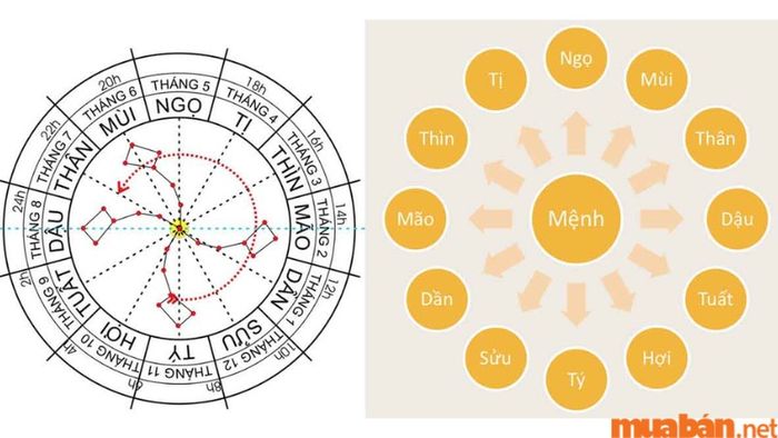 Tử vi Quý Mùi 2003 nam mạng năm 2024 - Cách hóa giải sao hạn