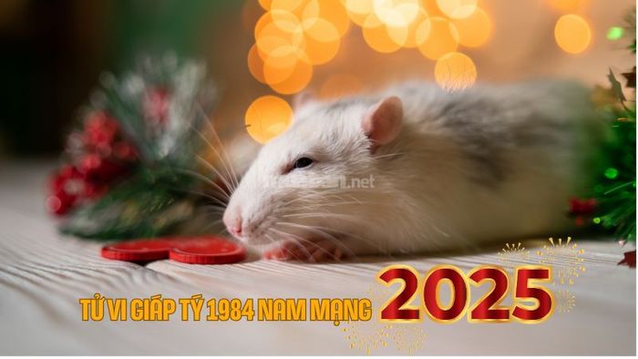 Khám phá tử vi nam mạng Giáp Tý 1984 năm 2025