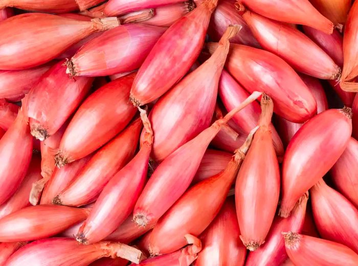 Purple Shallots