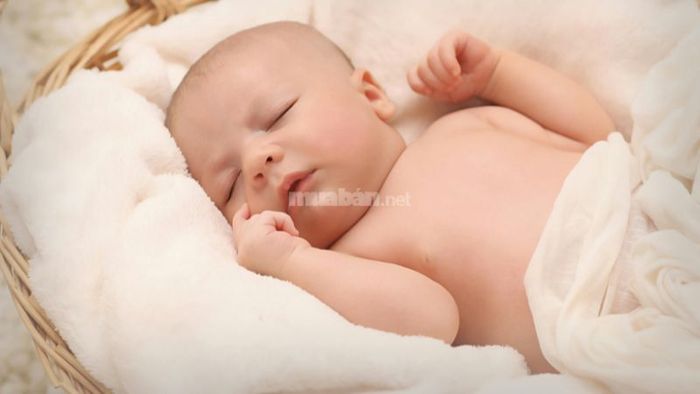 Phân tích ý nghĩa giờ sinh tháng 9 năm 2025