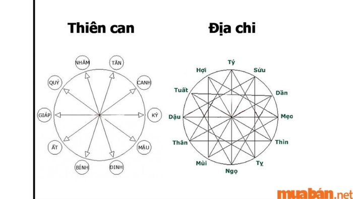Tử vi Quý Mùi 2003 nam mạng năm 2024 xét theo thiên can