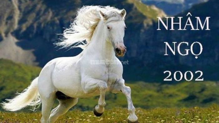 Tử vi nữ tuổi Nhâm Ngọ 2002 năm 2025: Dự báo các yếu tố ảnh hưởng