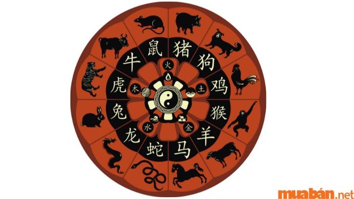 Tử vi Quý Mùi 2003 nam mạng năm 2024