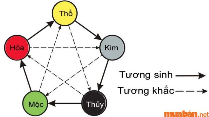 Tử vi Quý Mùi 2003 nam mạng năm 2024 có Tứ Trụ là Thiên Hòa - Địa Hòa.