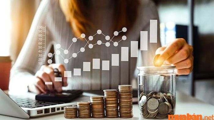 Phân tích Tử vi Quý Mùi 2003 nam mạng năm 2024 về tài chính
