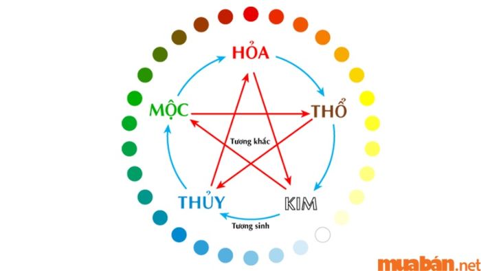 Tử vi Quý Mùi 2003 nam mạng năm 2024 xét theo thiên can và ngũ hành