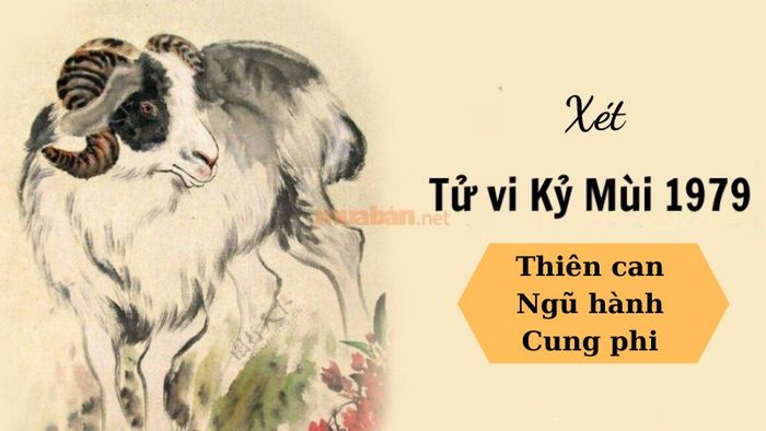 Tử vi Kỷ Mùi 1979 nữ mạng xét theo thiên can, ngũ hành và cung phi