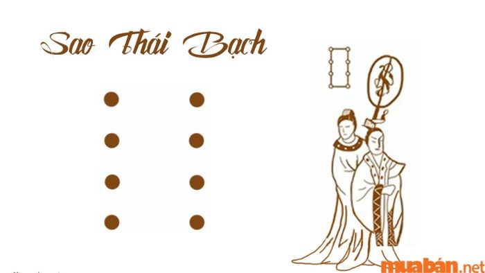 Theo tử vi Quý Mùi 2003 nam mạng năm 2024, sao chiếu mệnh là sao Thái Bạch.