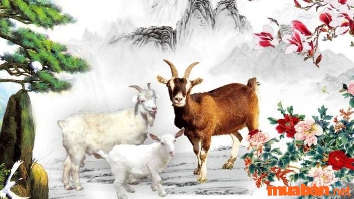 Phân tích Tử vi Quý Mùi 2003 nam mạng năm 2024 - Cách giải hạn sao