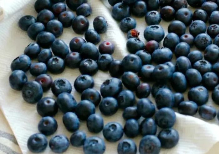 drying rinsed blueberries on paper towels