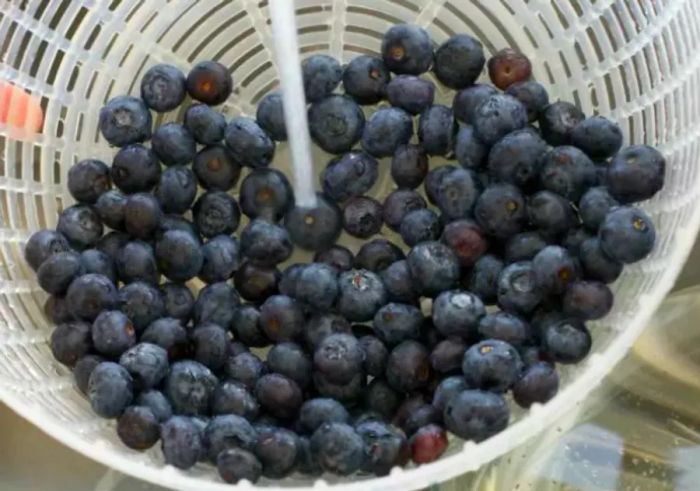 rinsing fresh blueberries