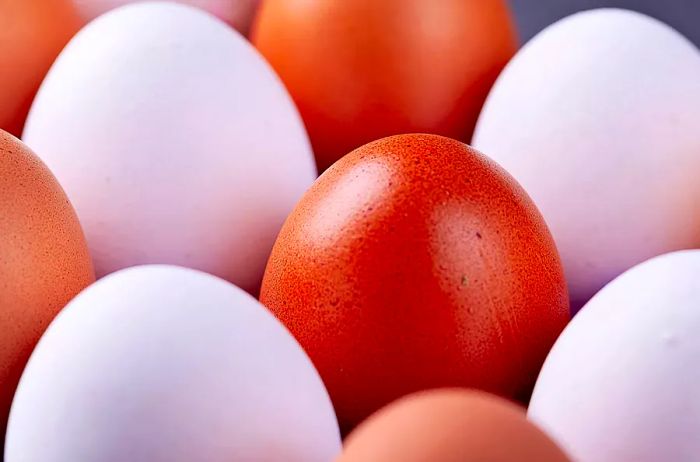 Close-up shot of both brown and white eggs.