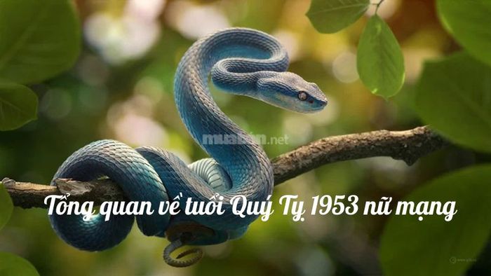 Tổng quan tử vi nữ Quý Tỵ 1953